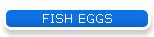 FISH EGGS