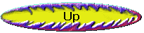 Up