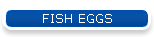 FISH EGGS