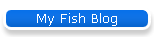 My Fish Blog